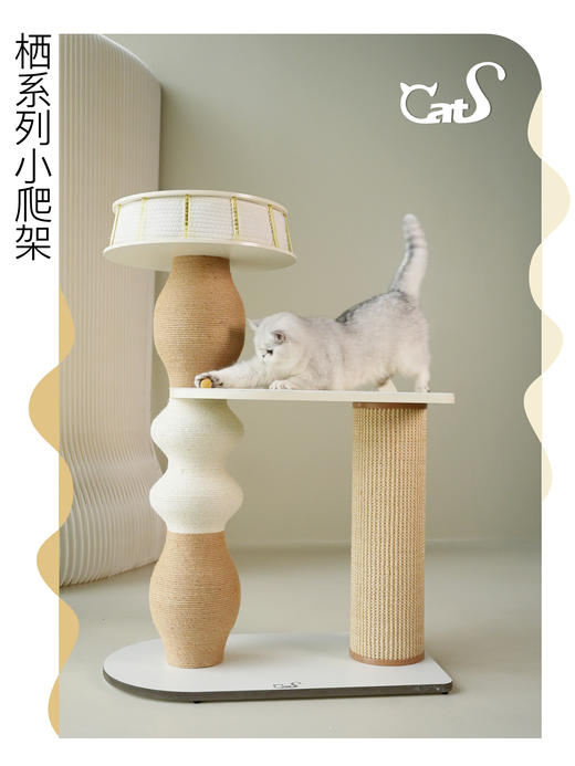 栖系列 小型实木猫爬架猫抓柱小猫窝新品麻绳款 商品图4
