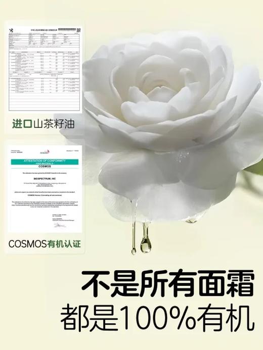 植物妈妈保湿山茶花面霜50g 商品图3