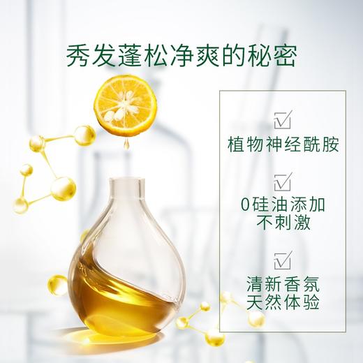 丝蕴 净油蓬松洗发露680ml SY948872 商品图2