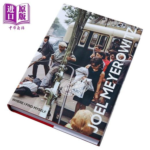 【中商原版】乔尔·迈耶罗维茨：如果我发现自己 英文原版 Joel Meyerowitz 商品图11