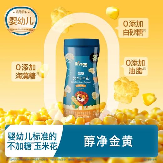 禾泱泱婴幼儿营养玉米花19g 商品图3