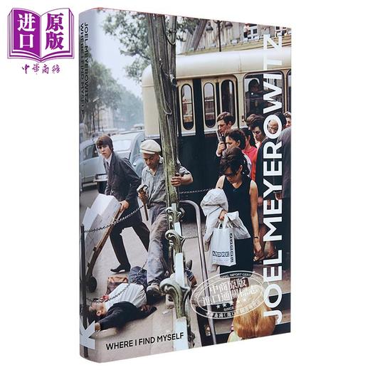 【中商原版】乔尔·迈耶罗维茨：如果我发现自己 英文原版 Joel Meyerowitz 商品图13