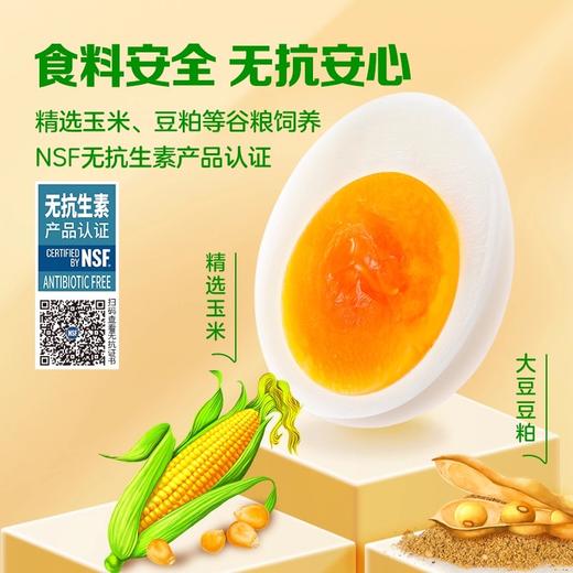 香满园富硒鲜鸡蛋1.59kg(珍珠棉托/礼盒)30枚装   -YS 商品图4