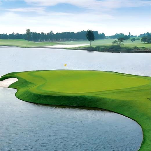 阿约提亚林克斯高尔夫俱乐部 Ayodhya Links Golf Club | 曼谷高尔夫球场 | 泰国高尔夫球场俱乐部 商品图7