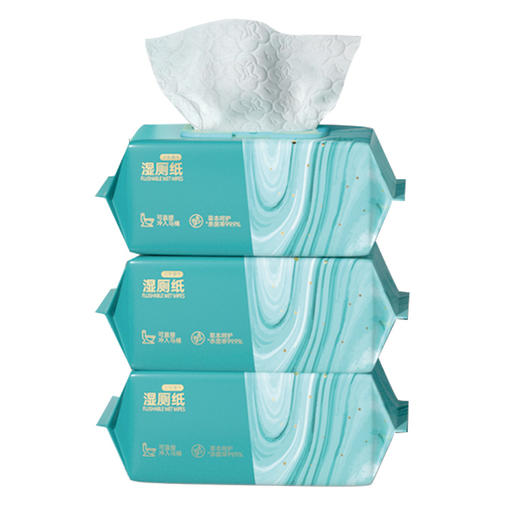 植护 青黛湿厕纸80片*3包 zhs80p3b 商品图0