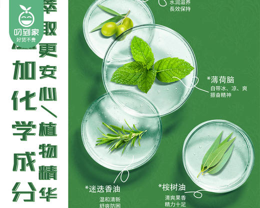 【预售-4月8日配送】【到手2支】泰国稻穗薄荷香筒/1份（2ml*2支） 商品图4