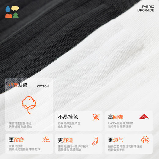 【男女成人款中筒袜】森林棠61062002男女成人百搭棉柔无骨中筒袜高弹力百搭纯色简约长袜子2双装   1128开团 商品图3