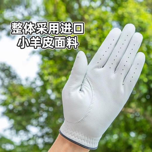 正品PLAYEAGLE高尔夫手套男士 3A级别进口小羊皮真皮 柔软耐磨高品质 golf手套
尺码23-27
黑白色，官网285 商品图5