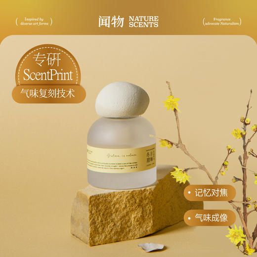 【气味写生】闻物冬日腊梅无火香氛还原冬日腊梅植物精油扩香礼物 商品图1