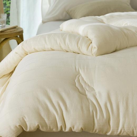 啄木鸟 纯棉大豆纤维被 ZMN-DDB-01 商品图3