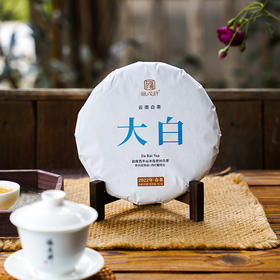 【花蜜香馥郁 鲜醇甜润】大白【白牡丹级】2022年春茶云南勐库西半山 冰岛老树白茶茶饼357g