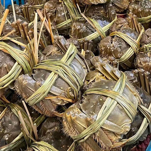 苏州精品大闸蟹（产地阳澄湖直发一蟹一扣一码） 商品图8