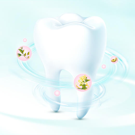 纳爱斯 护龈牙膏本草薄荷香型120g 6910019025731 商品图3