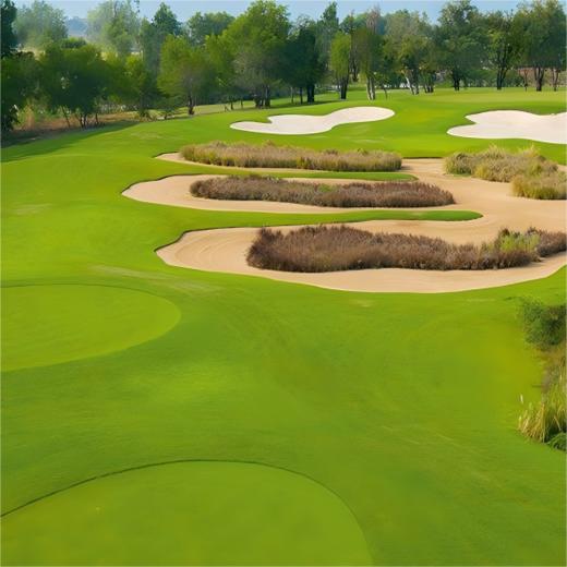 阿约提亚林克斯高尔夫俱乐部 Ayodhya Links Golf Club | 曼谷高尔夫球场 | 泰国高尔夫球场俱乐部 商品图5