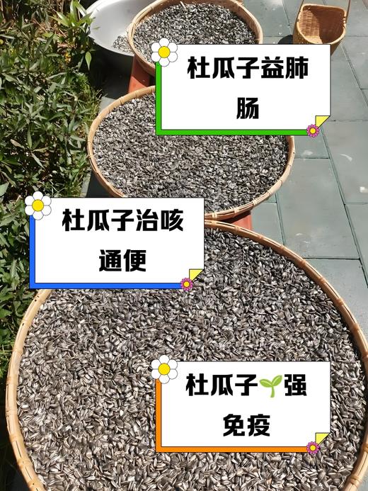 原味杜瓜子大果23.8元1袋250g，明天到 商品图3