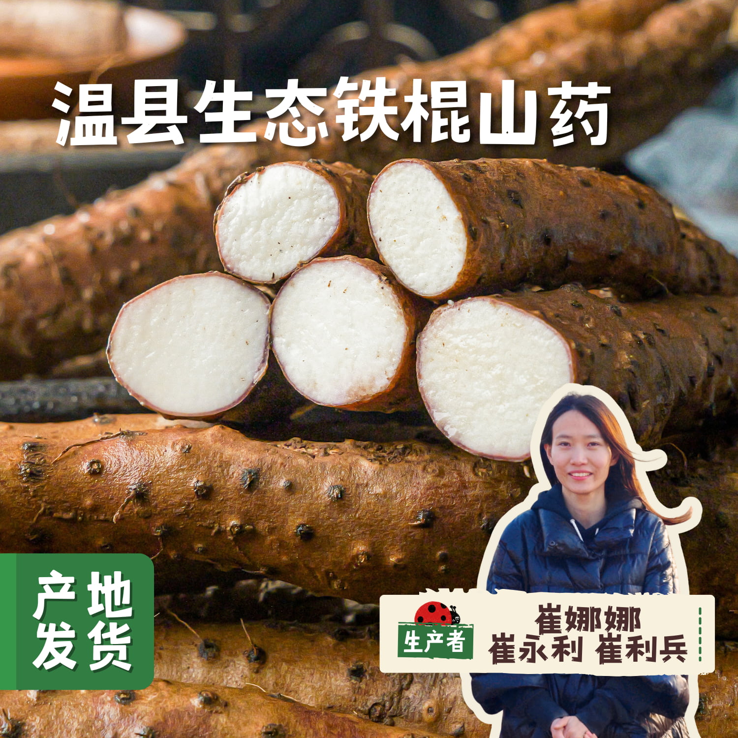 温县生态铁棍山药 3斤/5斤 | 合作农友生产，产自河南焦作温县，生产者：崔永利、崔利兵、崔娜娜 *【公平贸易农人定价】