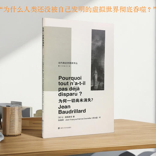 波德里亚全套14本 商品图8