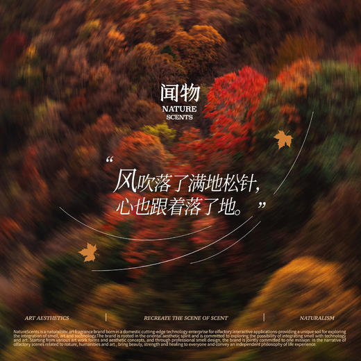 【气味风景】秋日山林闻物无火香氛还原森林场景植物精油扩香礼物 商品图4