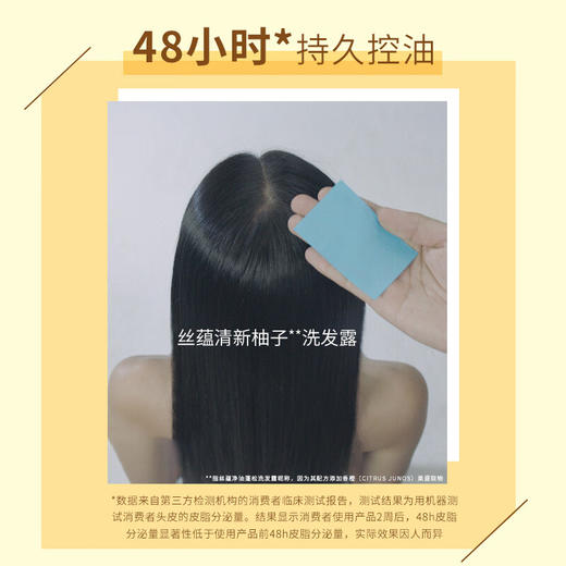 丝蕴 洗发露净油蓬松980ml SY952978 商品图2