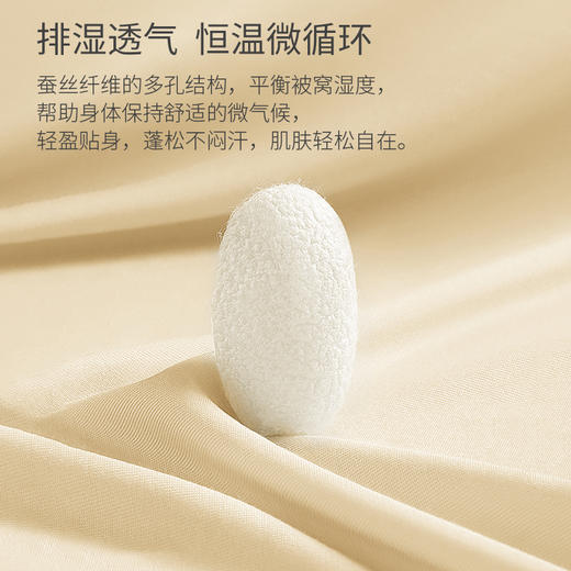 恒源祥 轻奢贡缎全棉蚕丝子母被璀璨星河200*230cm 6942394723124 商品图3