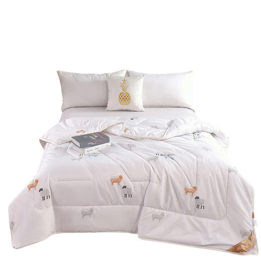 皇家寝室 纯新羊毛被200cm*230cm/2900g HJQS-BZ3988 商品图0