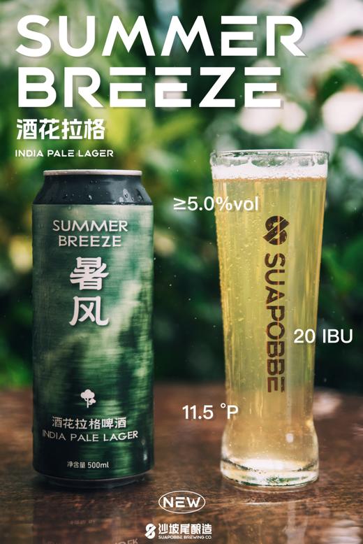 沙坡尾 暑风 500ml 商品图0