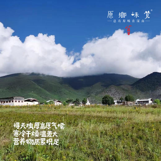 生态多色高原土豆（基地直发-韵达包邮） | 多种规格，来自云南香格里拉，生产者：李忠青【合作生产，公平贸易】 商品图1