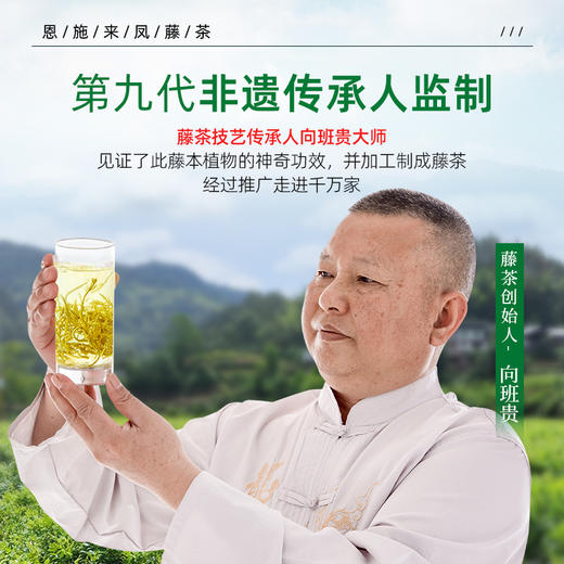 恩施藤茶来凤特级龙须含硒霉茶叶优选养生调养茶 CM 商品图1