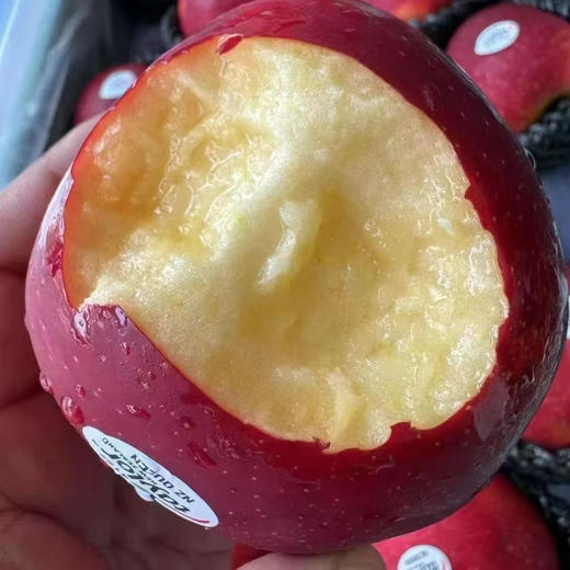 新西兰红玫瑰苹果 商品图3
