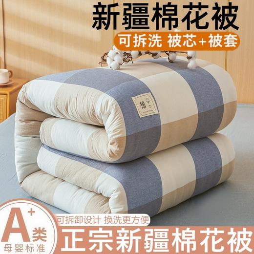 【可拆卸新疆全棉花被子】冬被厚春秋被单双人垫被褥子学生宿舍可机洗 商品图4