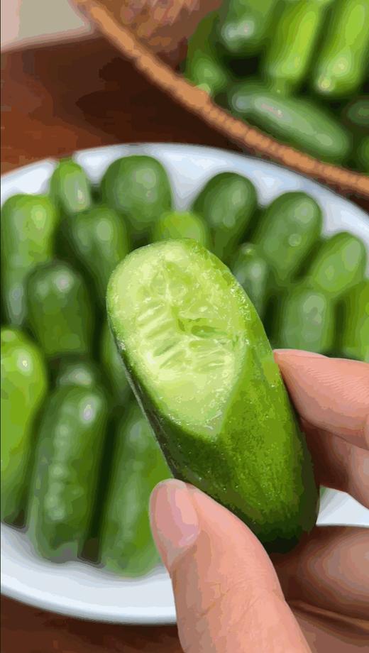 拇指黄瓜 清脆多汁 一口一根 超好吃 商品图4