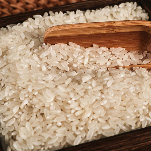 【产地直发包邮】正耕—有机五常大米 商品图1