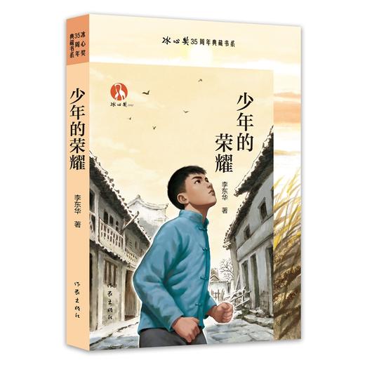 少年的荣耀 商品图0