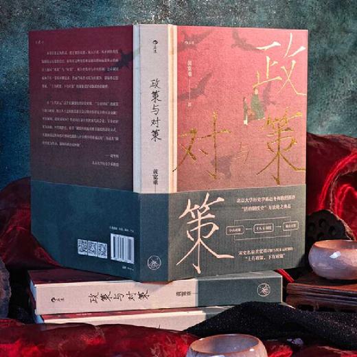 政策与对策:宋代政治史探索 商品图3
