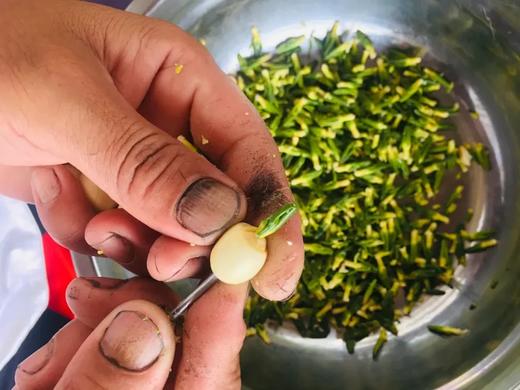 生态通芯白莲/莲子（建莲）300g 产地：福建 商品图2