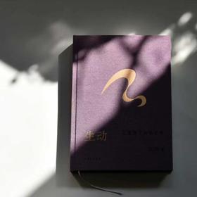 生动：在漫游中发现艺术