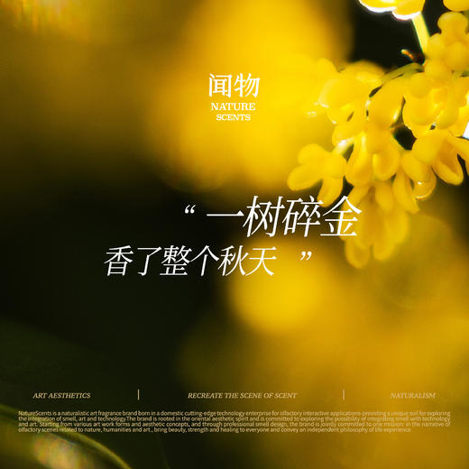 【自然印迹】闻物八月桂花无火香氛还原花园场景植物精油扩香礼物 商品图4