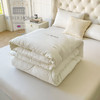 【英国百年品牌】欧特家·OETKER七星级酒店 德绒深睡被 金标德绒
0.9DTEX热聚科技纤柔被 商品缩略图8