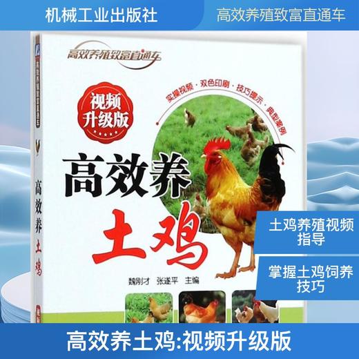 高效养土鸡 商品图0