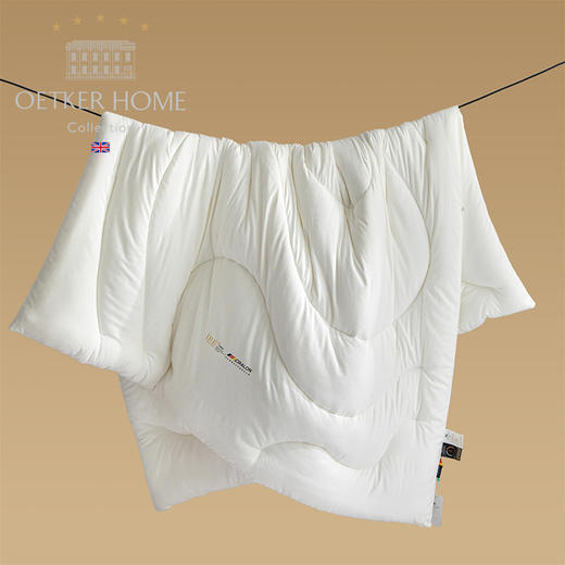 【英国百年品牌】欧特家·OETKER七星级酒店 德绒深睡被 金标德绒
0.9DTEX热聚科技纤柔被 商品图1