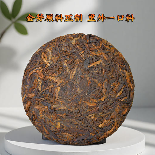 云南普洱茶叶批发冰岛金芽熟茶饼100克/饼 商品图1