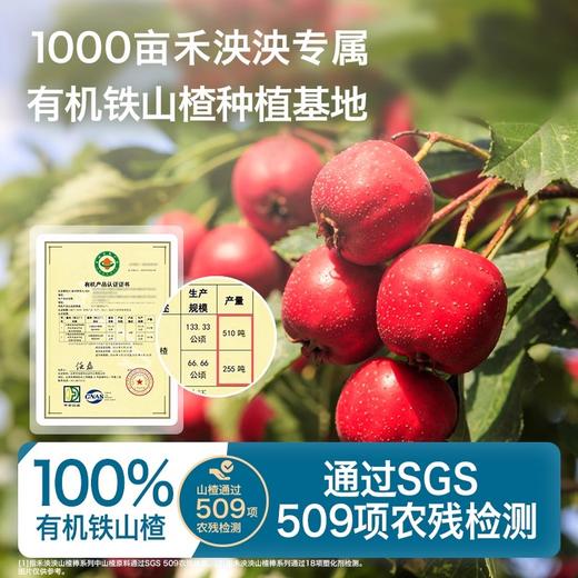 禾泱泱山楂棒48g/盒 商品图3