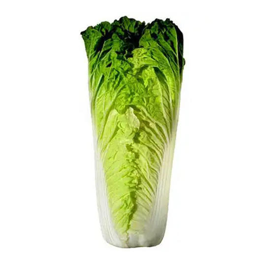【1.58元2斤】绿白菜（1500945） 商品图0