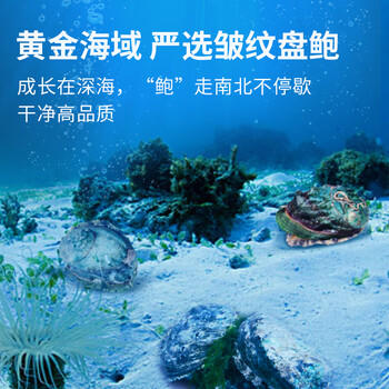 獐子岛 冷冻鲍鱼300g 6粒 去脏去膜红烧料包 火锅煲汤海鲜水产生鲜食材 商品图3
