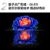 TCL电视 75V8L Pro 75英寸 144Hz QLED量子点 3GB+64GB大内存电视 商品缩略图3