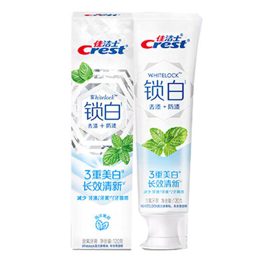 佳洁士 锁白牙膏(海洋薄荷)120g*1支 pg-sb01bh 商品图0