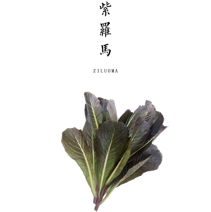 紫罗马生菜 300g