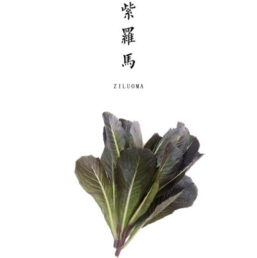 紫罗马生菜 300g 商品图0