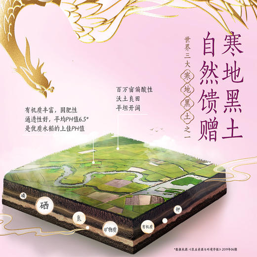 金龙鱼乳玉皇妃方正长粒香大米5kg(塑料袋)-YS 商品图2