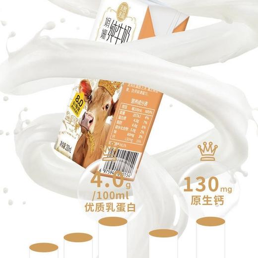 天牧圣品4.0蛋白纯牛奶125ml✘10盒/3箱 商品图2